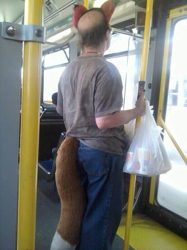 fox tail ears balding bus guy