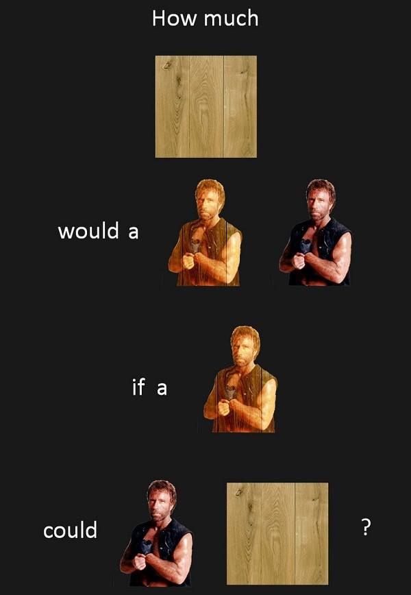how much wood would a wood chuck norris 