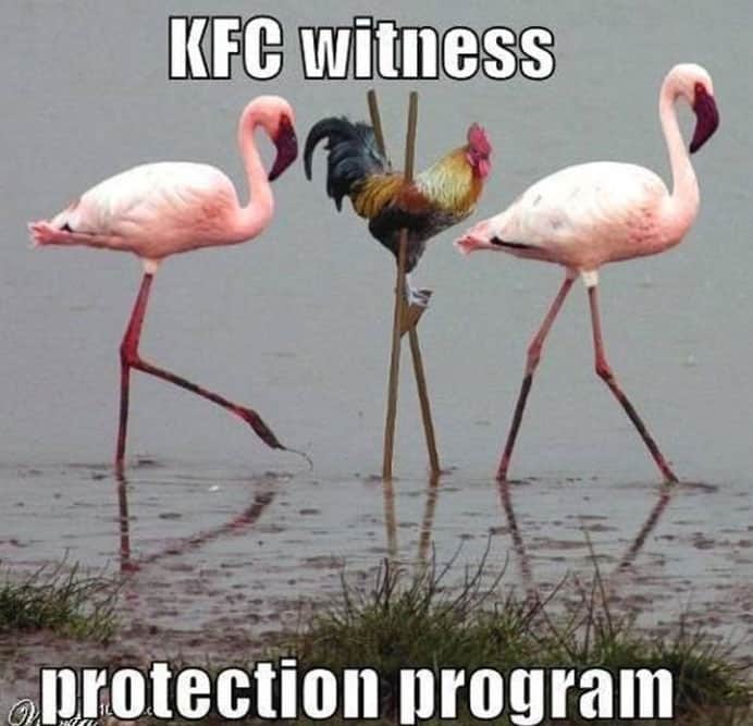 KFC-witness-protection