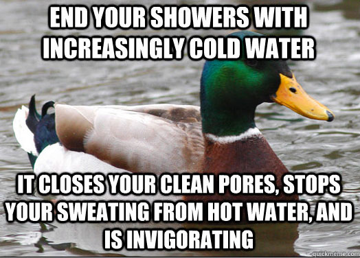 actual-advice-mallard