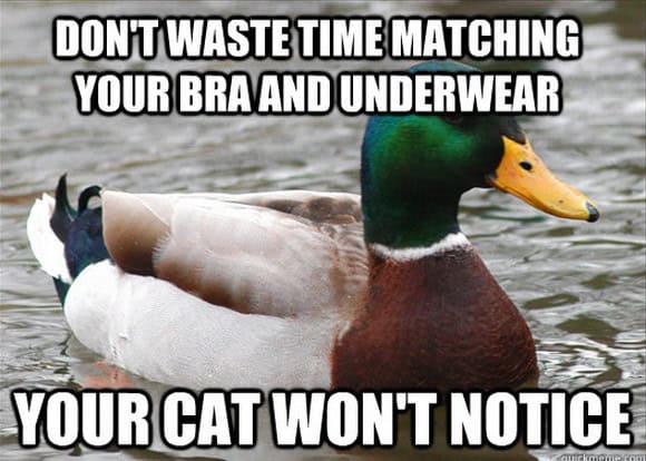 actual advice mallard