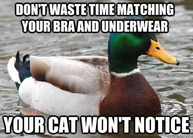 actual advice mallard