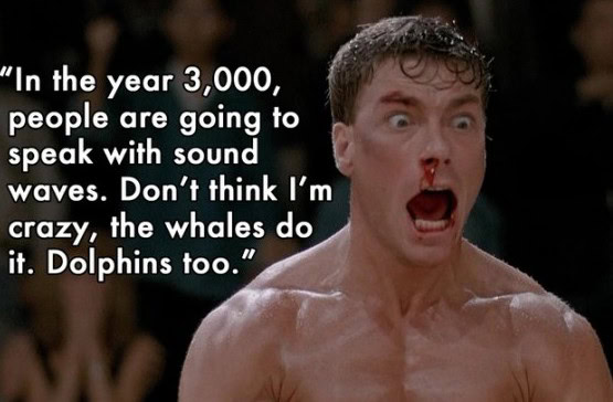 actual van damme quotes