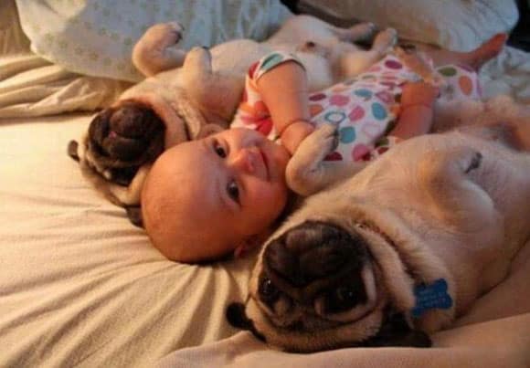 adorable-baby