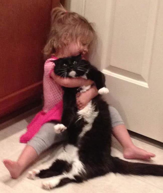 cat hug little girl hugging kitty