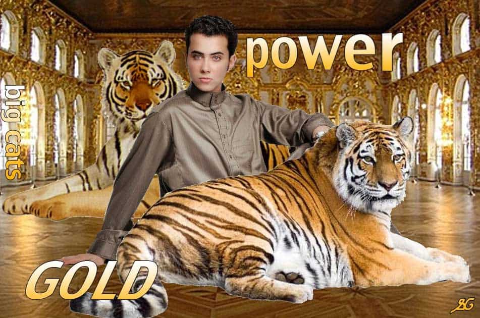ahmed-angel-tiger