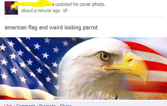 america-getting-dumber