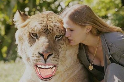 animals human teeth pictures