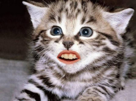 animals with human mouths
