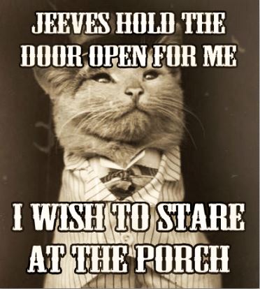 aristocat