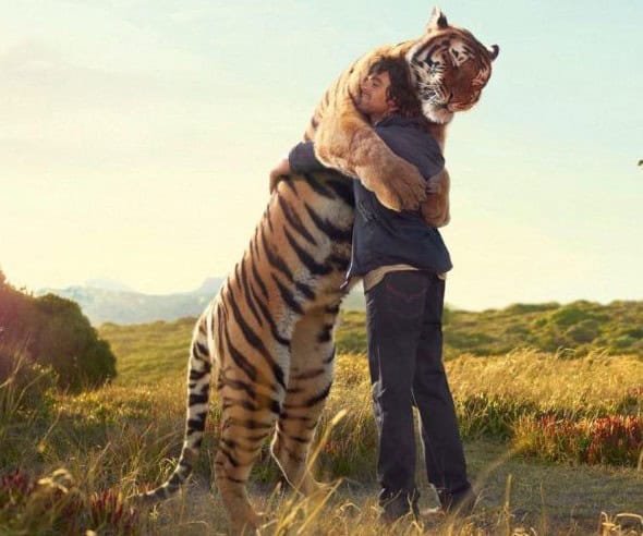 awesome animal pictures