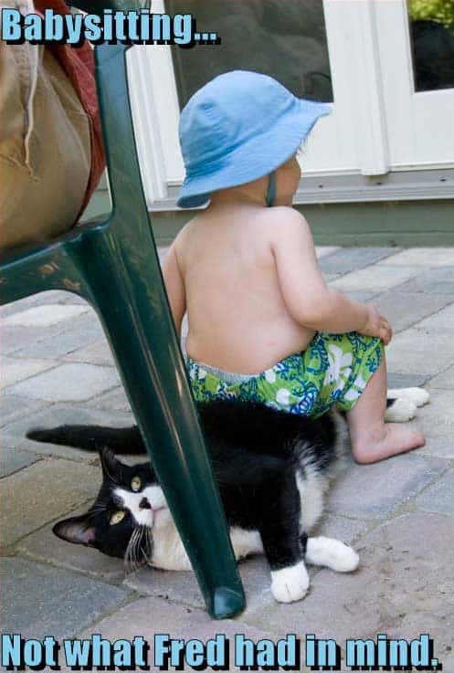 babies-with-cats-funniest