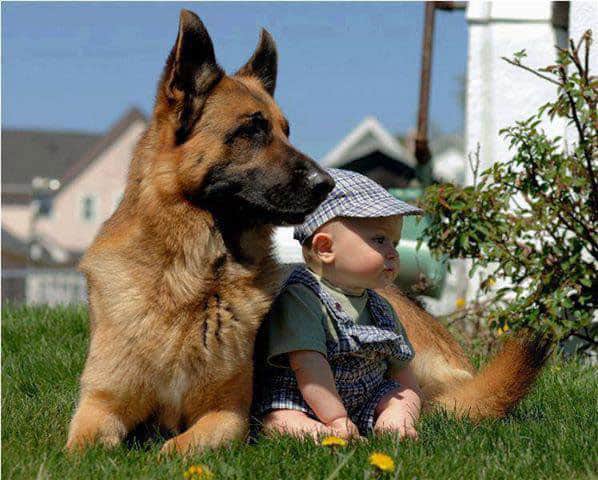 babies-with-dog
