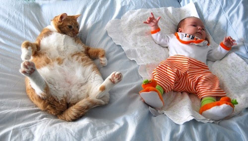 babies-with-pets-pictures