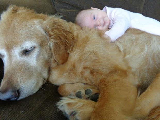 babies-with-puppies