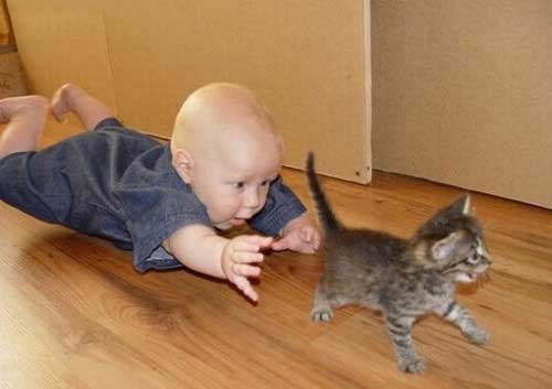 baby-chasing-cat