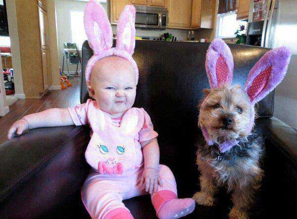 baby-dog-bunny