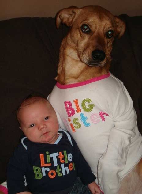 The 25 Funniest Photos Of Babies With Dogs