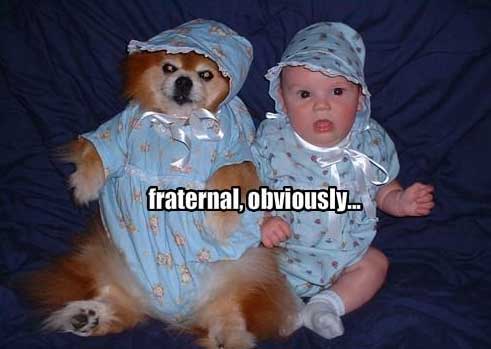 baby-dog-funny-picture