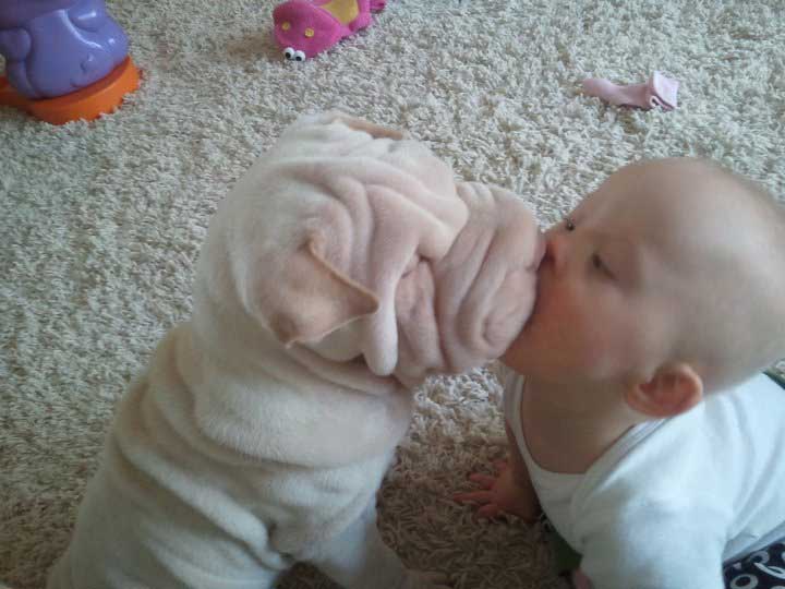 baby-dog-kiss