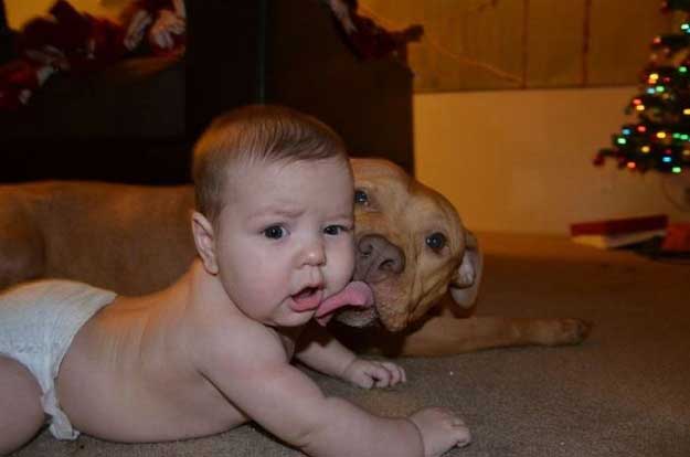 baby-dog-lick