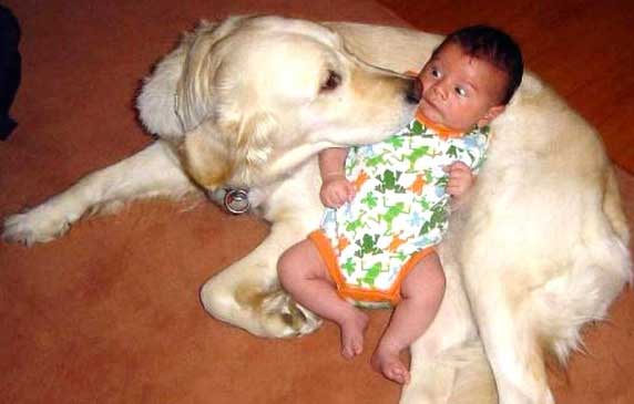 baby-dog-scared