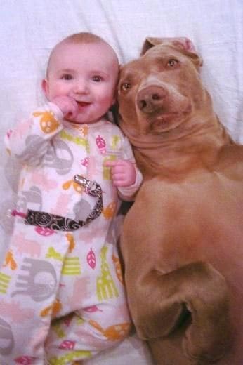 baby-dog-selfie