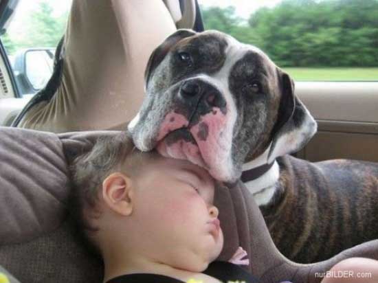 baby-dog-sleeping