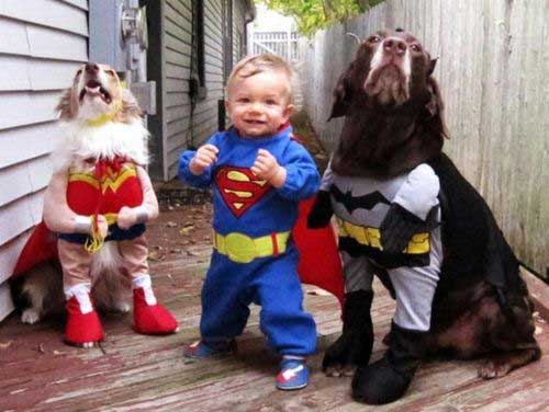 baby-dog-superheroes
