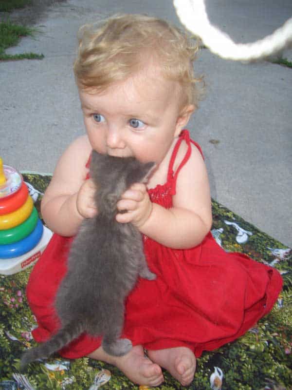 baby-eating-kitten