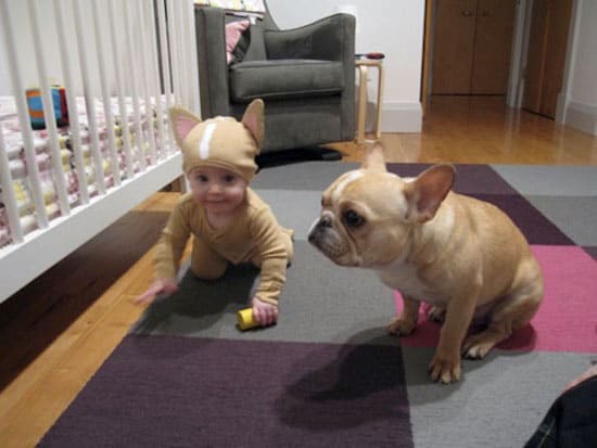 baby-frenchy