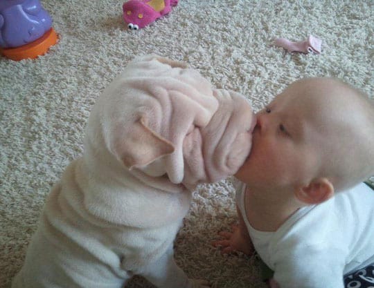 baby-kiss-puppy