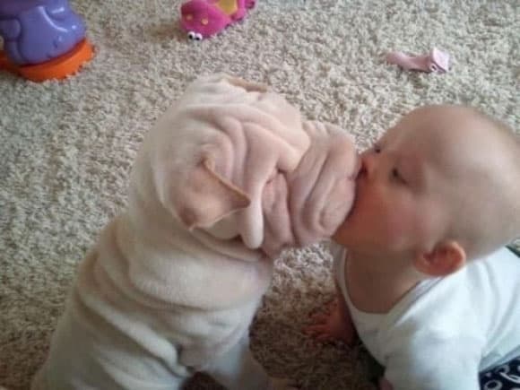 baby-pet-smooch