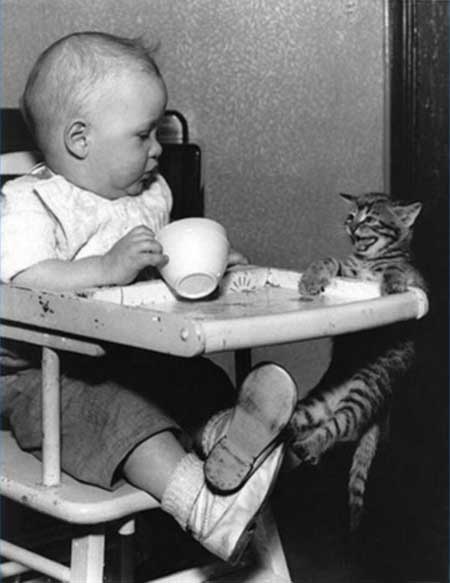 baby-with-cat