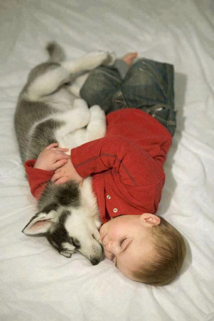 baby-with-dog