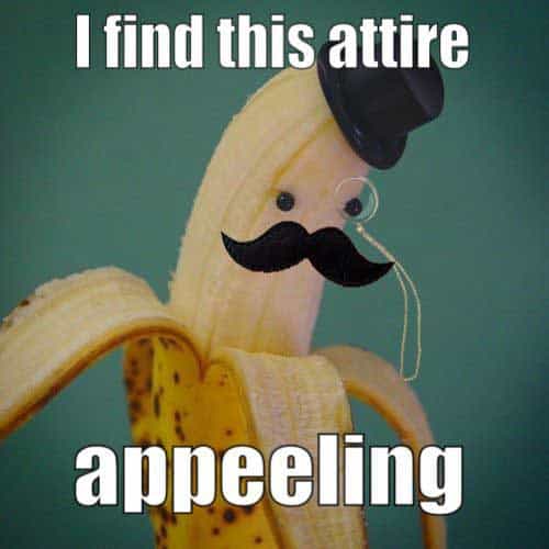 banana-pun