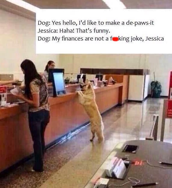 bank-dog