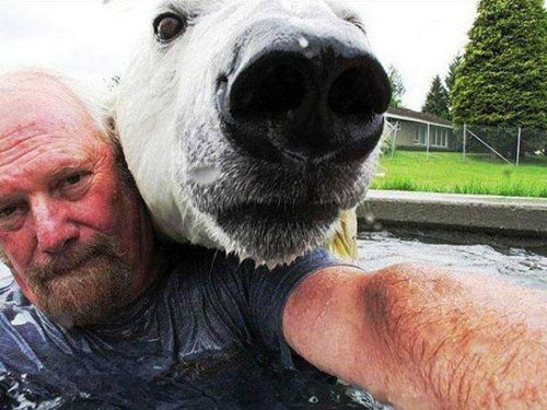 bear-selfie