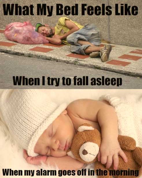 bed-truth