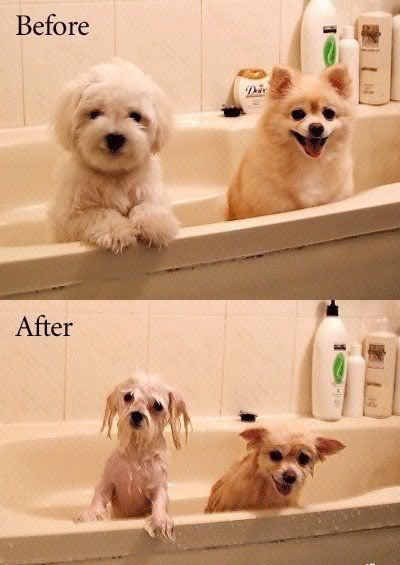 Before And After (20 PICTURES)