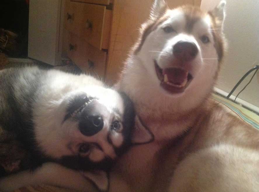 best-buds