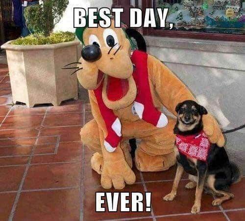 best-day-ever-dreams