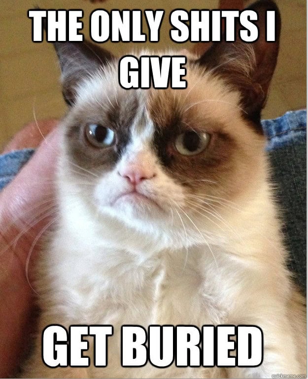 best grumpy cat memes