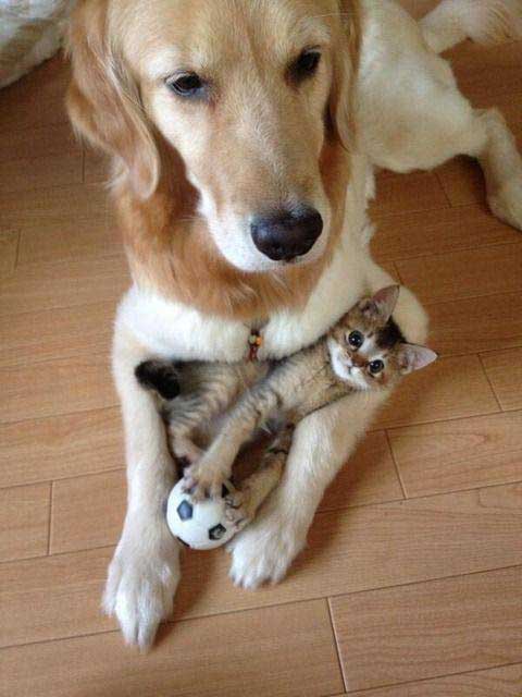 besties