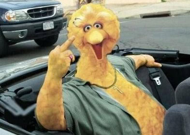 big bird funny