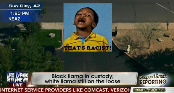 black-llama-arrested