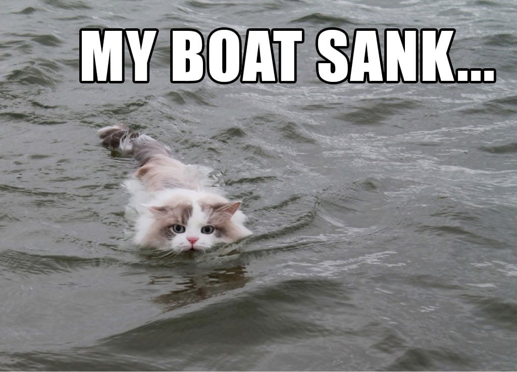 boat-sank-cat