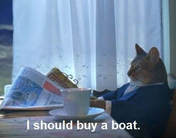 boat cat