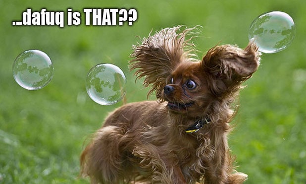 bubbles-dog