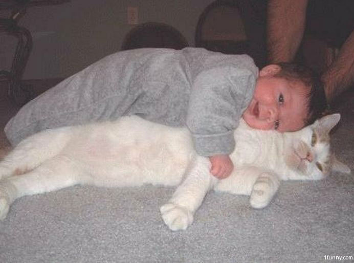 cat-baby